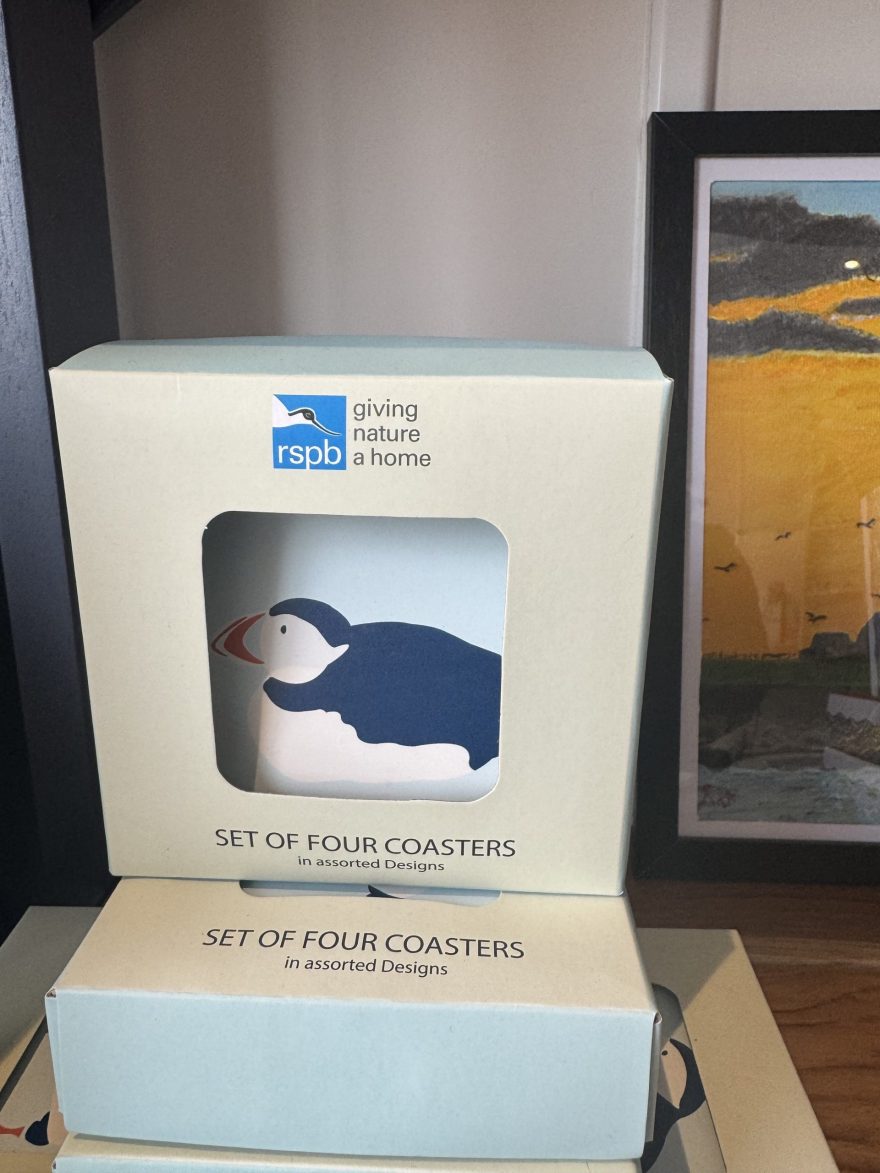 RSPV Puffin Coaster Pack of 4